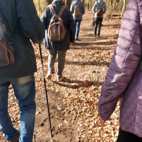 Ein Foto von einer Gruppe von Menschen. Die Menschen wandern im Wald. Herbst ist im Wald.